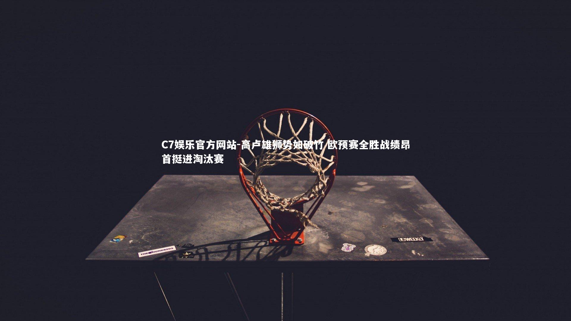 高卢雄狮势如破竹 欧预赛全胜战绩昂首挺进淘汰赛